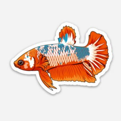 Plakat Betta Fish Sticker/Magnet/Cling - AQUAPROS