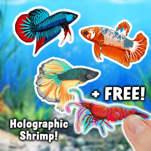 3 Pack Betta Fish Stickers - AQUAPROS
