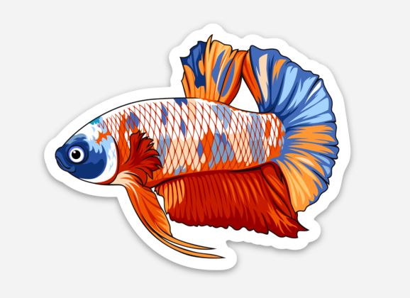 Betta Fish Sticker/Magnet/Cling - AQUAPROS