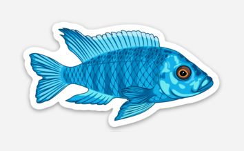 Wholesale Cichlid (1) Sticker - AQUAPROS