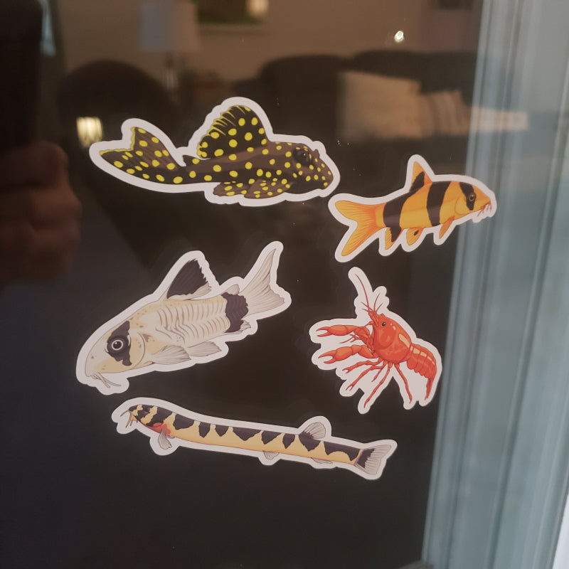 5 Pack Bottom Feeders Fish Stickers/Magnets/Clings - AQUAPROS