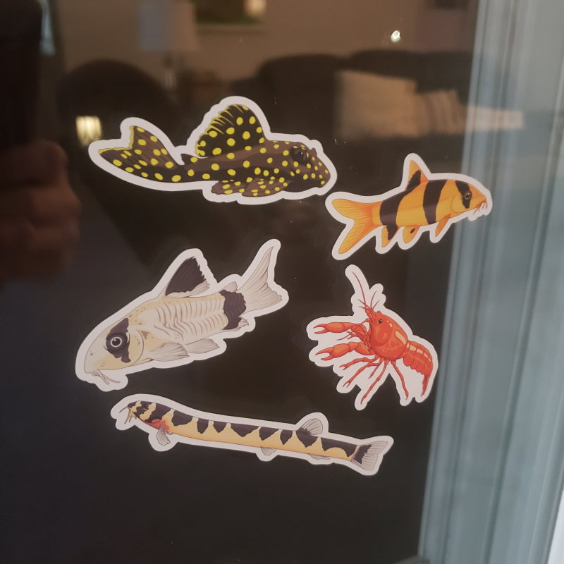 Bottom Feed Riser Decal 5 Pack Bottom Feeders Fish Stickers/Magnets/Clings - Bottom Feeder Fish ...