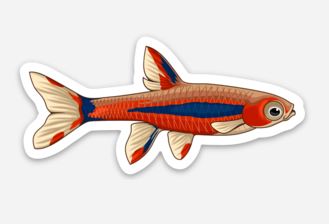 Wholesale Chili Rasbora Sticker/Magnet/Cling - AQUAPROS