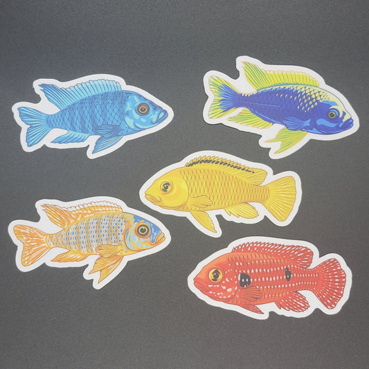 5 Pack Cichlid Stickers/Magnets/Clings - AQUAPROS