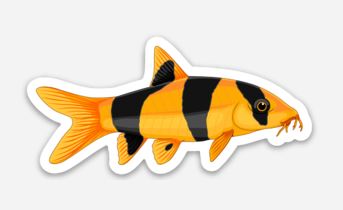 Wholesale Clown Loach Sticker/Magnet/Cling - AQUAPROS