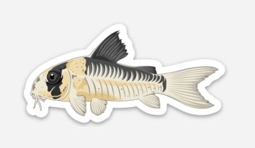 Wholesale Adolfo Cory Cat Sticker/Magnet/Cling - AQUAPROS
