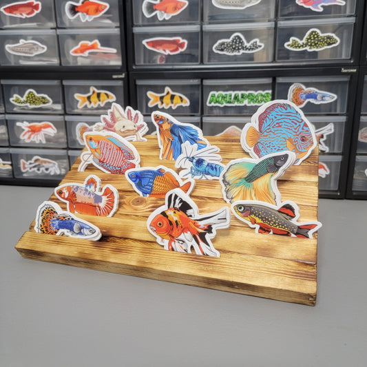 Wooden Sticker Display (Display Only) - AQUAPROS