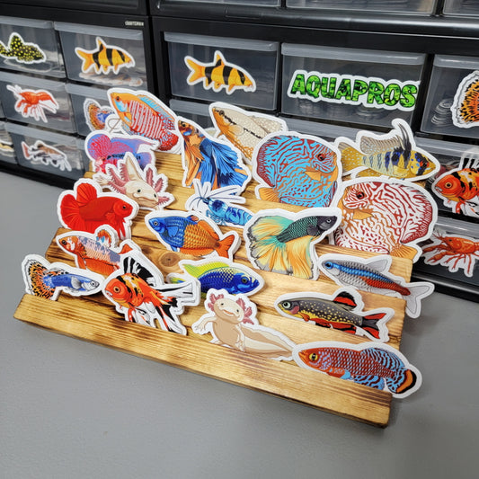 100 Sticker Pack With Wooden Display - AQUAPROS