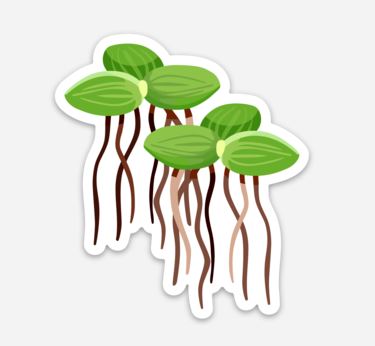 Wholesale Salvinia Sticker/Magnet/Cling - AQUAPROS