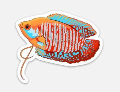 Wholesale Dwarf Gourami Sticker/Magnet/Cling - AQUAPROS