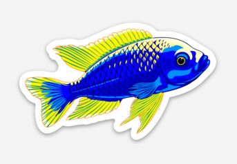 Wholesale Cichlid (3) Sticker/Magnet/Cling - AQUAPROS