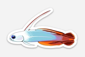 Firefish Goby Sticker/Magnet/Cling - AQUAPROS