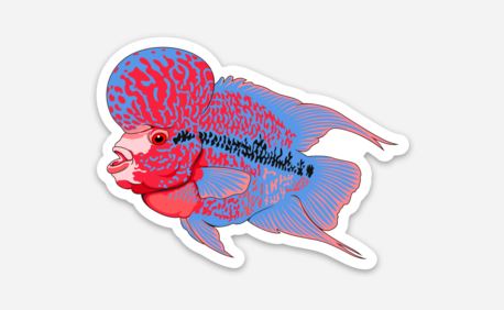 Wholesale Flowerhorn Sticker/Magnet/Cling - AQUAPROS