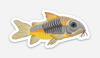 Green Lazer Corydoras Sticker/Magnet/Cling - AQUAPROS