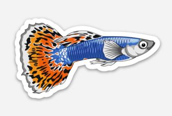 Wholesale Guppy (1) Sticker/Magnet/Cling - AQUAPROS