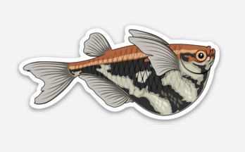 Wholesale Marbled Hatchet Fish Sticker/Magnet/Cling - AQUAPROS