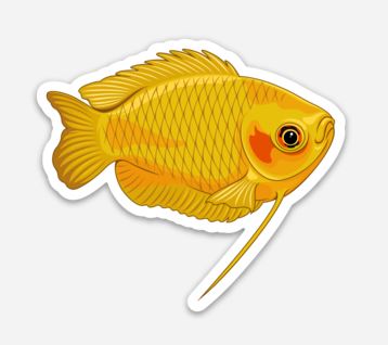 Wholesale Honey Gourami Sticker/Magnet/Cling - AQUAPROS