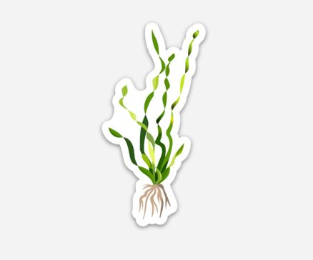 Wholesale Corkscrew Val. Sticker/Magnet/Cling - AQUAPROS
