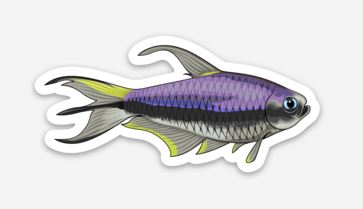 Wholesale Emperor Tetra Sticker/Magnet/Cling - AQUAPROS