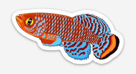 Wholesale Killifish Sticker - AQUAPROS