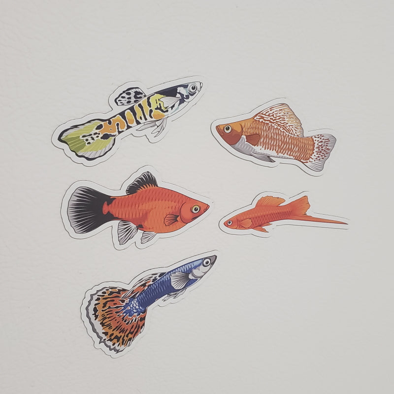 5 Pack Livebearer Fish Stickers/Magnets/Clings - AQUAPROS