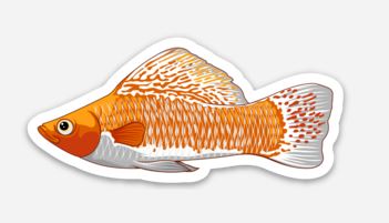 Wholesale Molly Sticker/Magnet/Cling - AQUAPROS