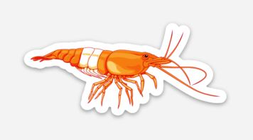 Wholesale Orange Rili Shrimp Sticker/Magnet/Cling - AQUAPROS