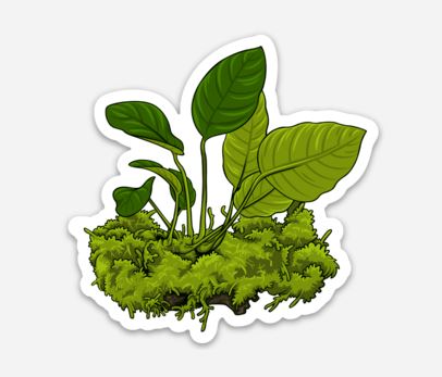 Anubias/Moss Log Plant Sticker/Magnet/Cling - AQUAPROS
