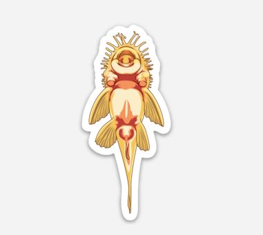 Wholesale Pleco (3) Sticker/Magnet/Cling - AQUAPROS