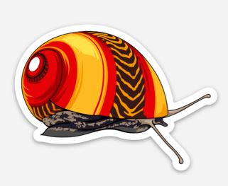 Red Racer Nerite Snail Sticker/Magnet/Cling - AQUAPROS