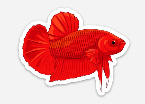 Red Betta Fish Sticker/Magnet/Cling - AQUAPROS