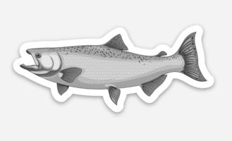 Wholesale Salmon Sticker/Magnet/Cling - AQUAPROS