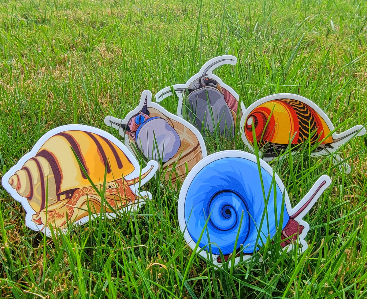 5 Pack Snails Stickers/Magnets/Clings - AQUAPROS