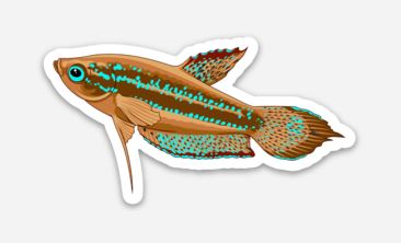 Wholesale Sparkling Gourami Sticker/Magnet/Cling - AQUAPROS