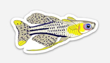 Dwarf Spotted Rainbowfish Sticker/Magnet/Cling - AQUAPROS