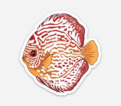 Wholesale Discus (2) Sticker/Magnet/Cling - AQUAPROS