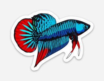 WILD Betta Fish Sticker/Magnet/Cling - AQUAPROS