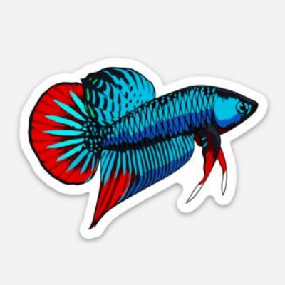 Wholesale WILD Betta Fish Sticker/Magnet/Cling