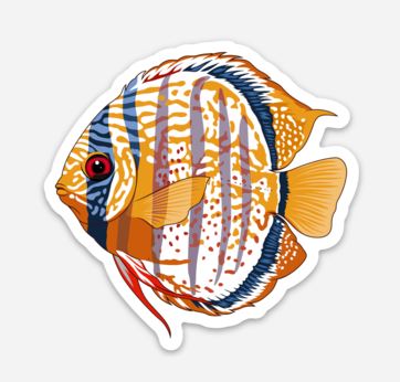 Wholesale Wild Discus Sticker/Magnet/Cling - AQUAPROS