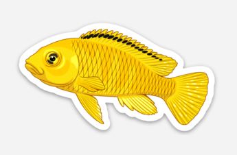 Wholesale Cichlid (5) Sticker - AQUAPROS